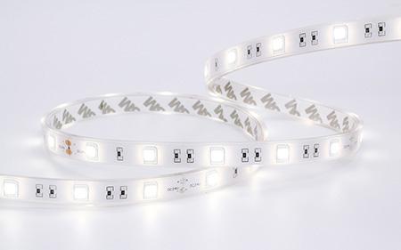 SMD 5050 Waterproof IP68 Rated 6000K White LED Strip Lights