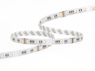 5050 SMD LED Strip Light, RGB+White Series